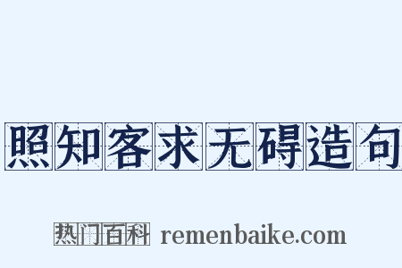 照知客求无碍造句是什么意思的图片